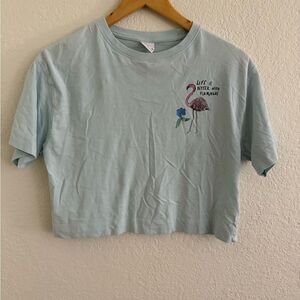 Zara Light Blue Flamingo Tee